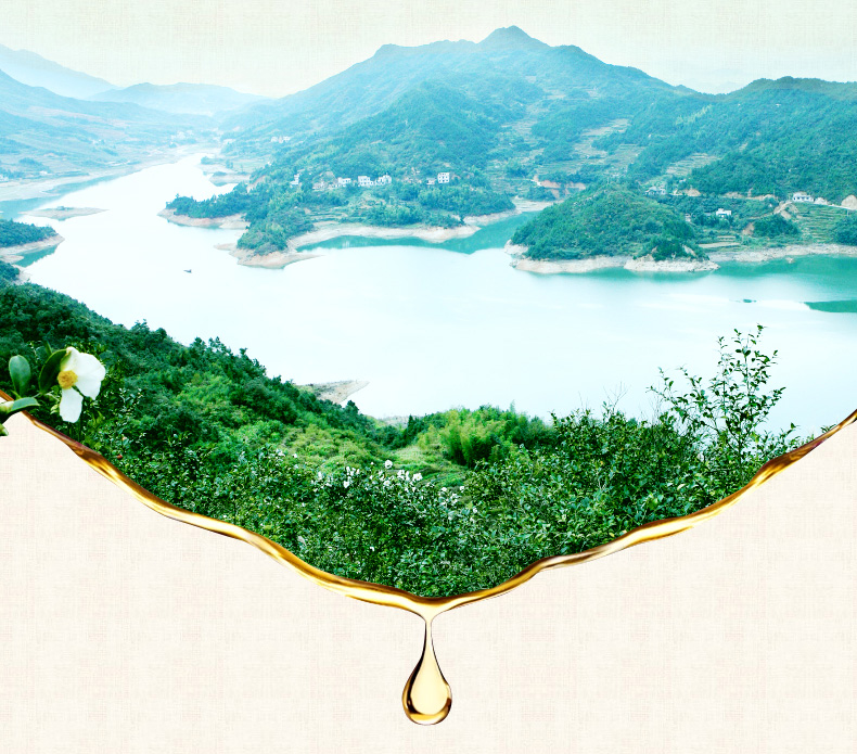 壓榨一級(jí)山茶油5L