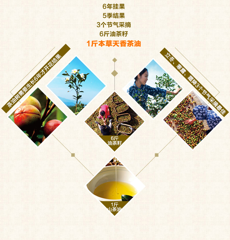 壓榨一級(jí)山茶油5L