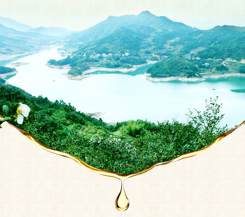 壓榨一級(jí)山茶油478ml*2禮盒