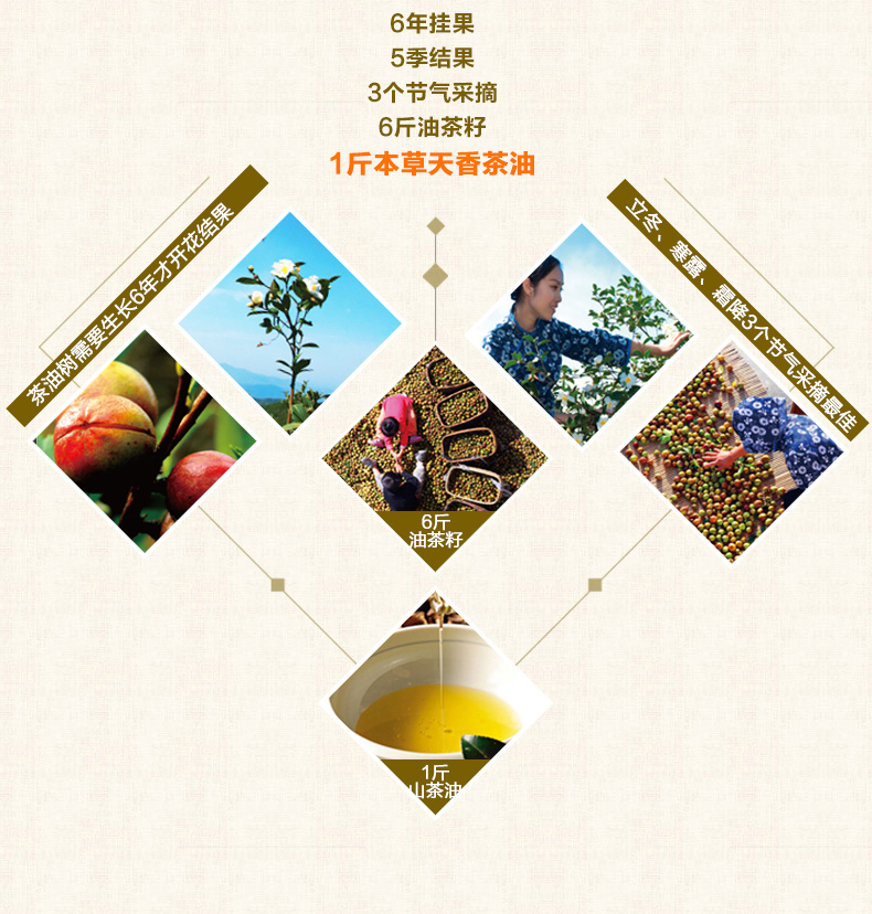 壓榨一級(jí)山茶油478ml*2禮盒