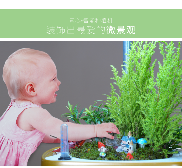 素心智能花盆陶瓷創(chuàng)意爆款個(gè)性室內(nèi)大號(hào)防腐永生盆景