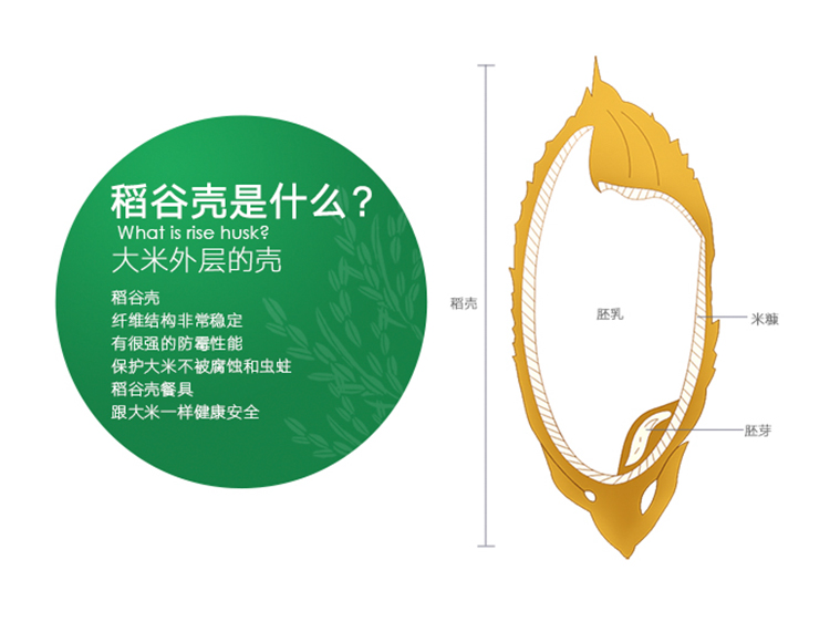 抗菌不發(fā)霉好清洗健康環(huán)保筷子