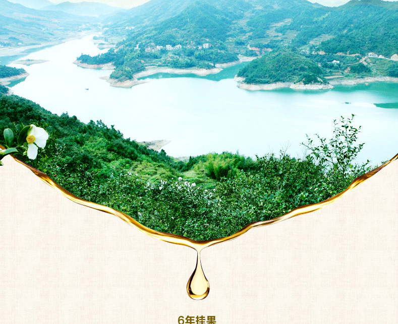 壓榨一級月子油山茶油2.2L