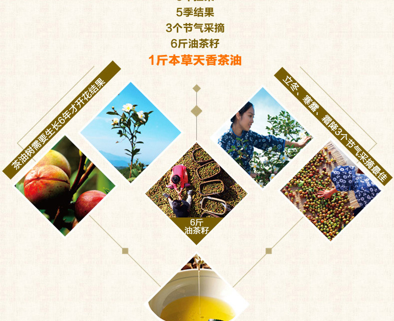 壓榨一級月子油山茶油2.2L