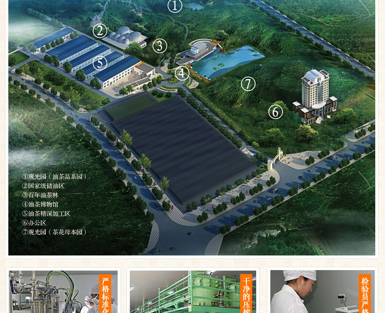 壓榨一級月子油山茶油2.2L