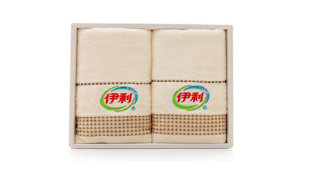 簡(jiǎn)約方格毛巾兩條裝（定制款）