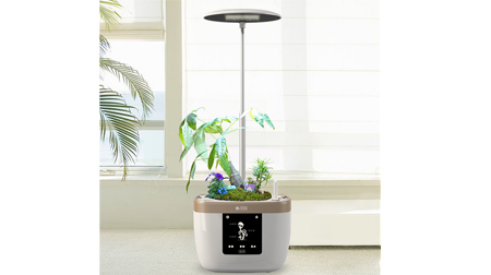 素心智能花盆陶瓷創(chuàng)意爆款個性室內(nèi)大號防腐永生盆景